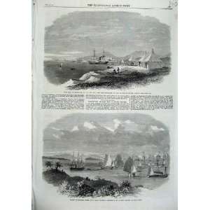   Isle Mussowah Red Sea 1865 Chinese Ship Fleet Opossum