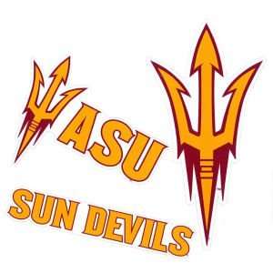   Arizona State Sun Devils Moveable 12x12 Decal Multipack: Sports