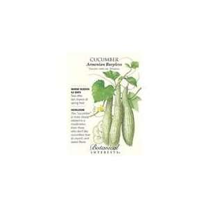  Botanical Interest   Cucumber Armenian Burpless Patio, Lawn & Garden