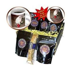   Cat Valentine with Red Rose   Coffee Gift Baskets   Coffee Gift Basket