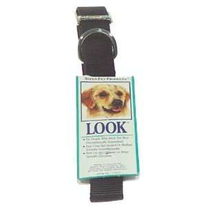  Aspen Pets Nylon Dog Collar Size: 1 x 22, Color: Royal 