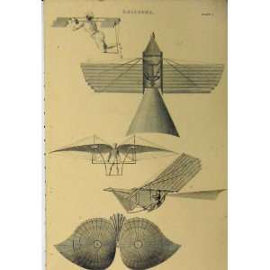   Antique Print Balloons Men Flying Machines Wings C1890: Home & Kitchen