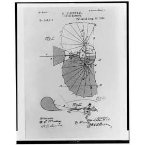   Lilienthal   flying machine Patented Aug. 20, 1895: Home & Kitchen