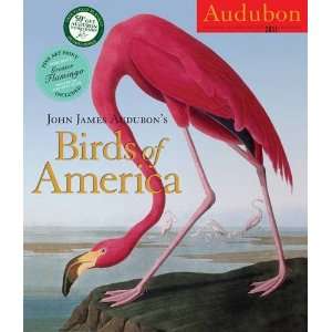    Audubon Birds of America 2011 Wall Calendar