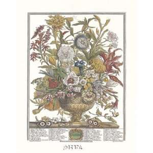 Twelve Months of Flowers, 1730/September Finest LAMINATED Print Robert 