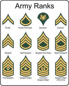 Military U.S. Army Rank insignia metal sign  