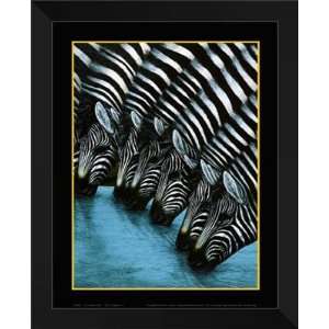  Dexter Griffin FRAMED Art 26x32 Zebras Watering Hole 