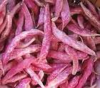 organic true red cranberry beans seeds 25 pole bean returns