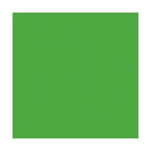  Kunin Foss Rainbow Classic Felt 9X12 Apple Green 912 458 