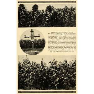  1918 Print Electric Frequency Fast Corn Growth Device 
