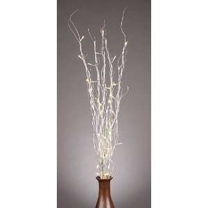   Twig Branch   50 Warm White LED Battery Operated: Home & Kitchen