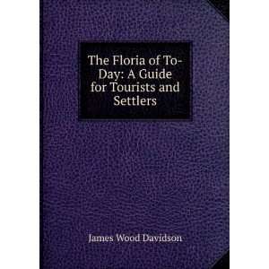 The Floria of To Day A Guide for Tourists and Settlers James Wood 
