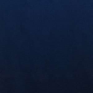  2470 Beguile in Navy by Pindler Fabric