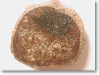 GOLD BASIN Stone Meteorite ARIZONA Meteor Mineral Space Rock Specimen 