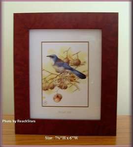 MARJOLEIN BASTIN NATURES JOURNEY BLUE JAY FRAMED PRINT  