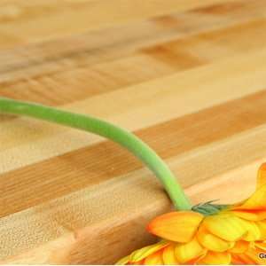  Big Leaf Maple Butcher Block Countertop: Kitchen & Dining