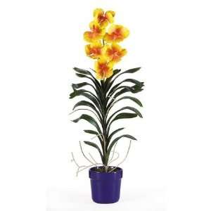    CALA 4269969 Vanda With Blue Pot Silk Arrangement