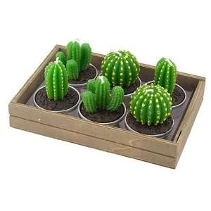  Set of 6 Cacti Tealight Candles for Parties or Home