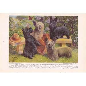  1936 Scottish Terriers Edward Herbert Miner Vintage Dog 
