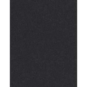  8 1/2 x 11 Bulk Paper   Metallic Black Ore (350 Pack 