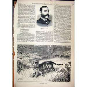   : Portrait Late Grace 1880 Cat Hunting Rabbit Country: Home & Kitchen