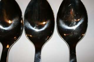 SCOF MARIPOSA BORNEO LARGE SPOON DISCONTINUED SALE NEW  