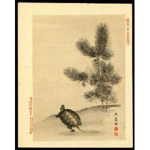  Japanese Print . Turtle next to a pine tree