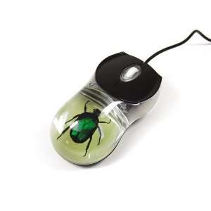   Mouse Glow in the Dark Green Chafer Beetle