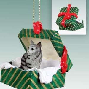    Silver Maine Coon Green Gift Box Cat Ornament: Home & Kitchen