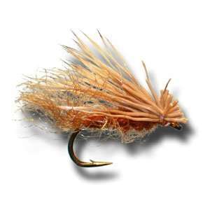  X Caddis   Brown Fly Fishing Fly
