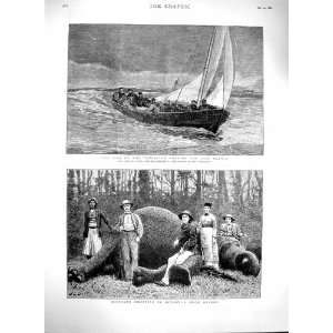  1880 Elephant Shooting Ceylon Hunting American Palmas 
