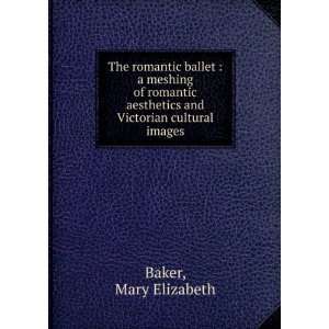   aesthetics and Victorian cultural images Mary Elizabeth Baker Books