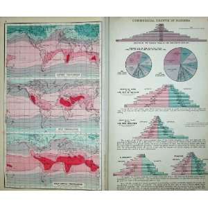   1907 Maps World Commerce Vegetation Temperature Mean