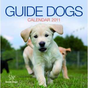  2011 Dog Calendars: Guide Dogs   12 Month Official 