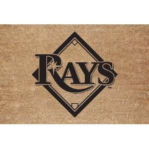 MLB Tampa Bay Devil Rays Flocked Door Mat:  Sports 