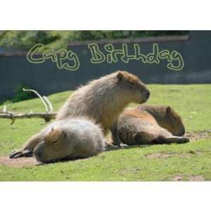  Birthday Card with Capybara