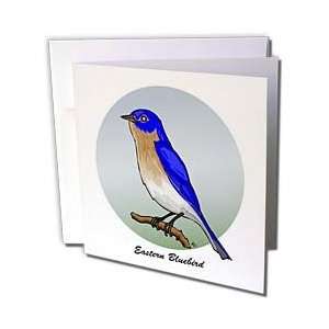  Mark Grace GRACEVISIONS Birds   BIRDS eastern bluebird 2 