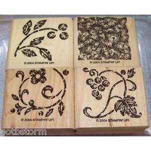  Stampin Up Stippled Stencils: Everything Else