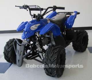 TWO 110cc SCORPION Youth ATVs Sport Quads w/ 7 Tire 4 wheelers +2 