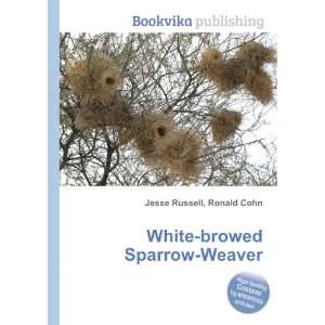  White browed Sparrow Weaver Ronald Cohn Jesse Russell 