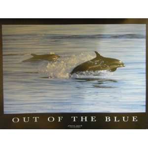  Sea Life Posters Out Of The Blue   Dolphins   61x86cm 