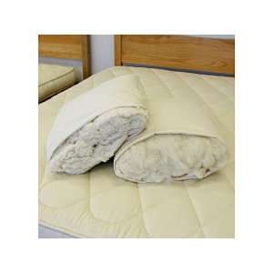  Pillows Teva Wool Filled Pillow (King Reg. Fill): Home 