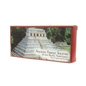  Ancient Forest Products   Sacred Copal   Incense Boxes 