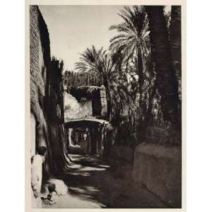  1929 Street Rashida Village Dakhla Dachle Oasis Egypt 