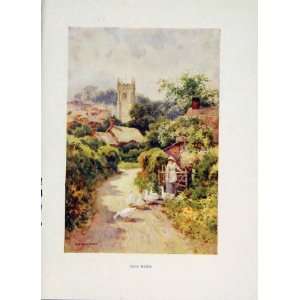  Bere Regis Color Fine Art Antique Haslehust Painting: Home 