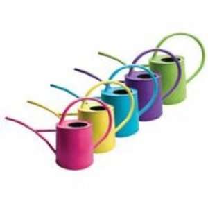  Indoor Watering Cans   8280   Bci