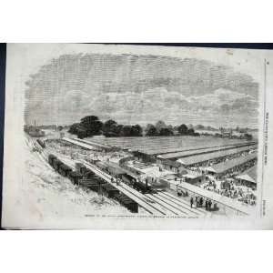  Chelmsford Essex Showground Antique Print 1856