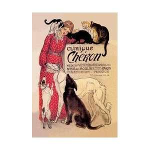  Clinique Cheron   Veterinary Medicine & Hotel 20x30 poster 