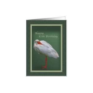  Birthday 87th, White Ibis Bird Card Toys & Games