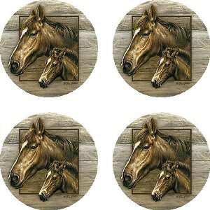  Set of 4 Absorbent Coasters   Handsome Pair